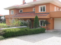 Vip Sitesi